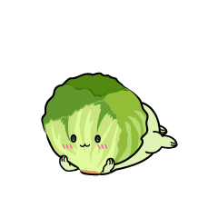 じっと見る小ちゃなレタス