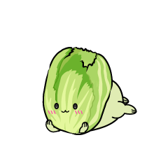 じっと見る小ちゃな白菜