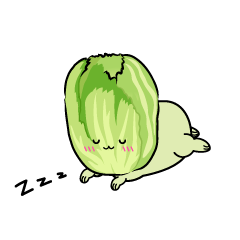 眠る小ちゃな白菜