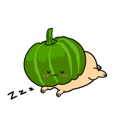 眠る小ちゃなカボチャ