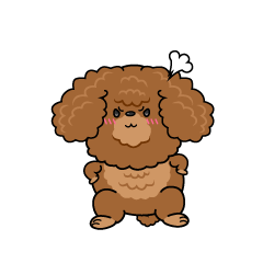 怒る小ちゃな茶色のトイプードル