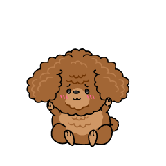 絶望する小ちゃな茶色のトイプードル