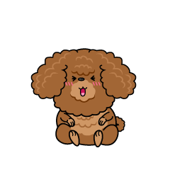 笑う小ちゃな茶色のトイプードル