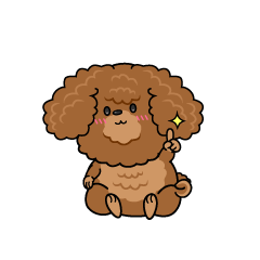 指差しする小ちゃな茶色のトイプードル