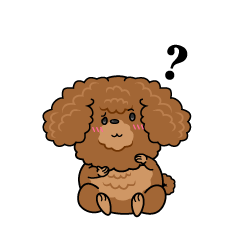 考える小ちゃな茶色のトイプードル