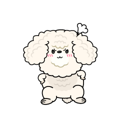 怒る小ちゃな白いトイプードル