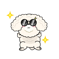 かっこいい小ちゃな白いトイプードル