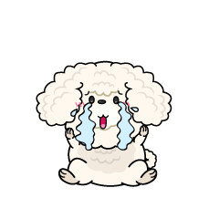 大泣きする小ちゃな白いトイプードル