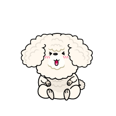 笑う小ちゃな白いトイプードル