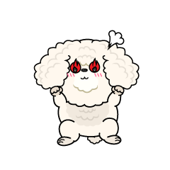 熱意のある小ちゃな白いトイプードル