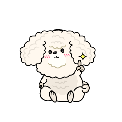 指差しする小ちゃな白いトイプードル