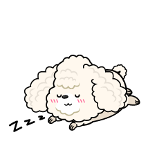 眠る小ちゃな白いトイプードル