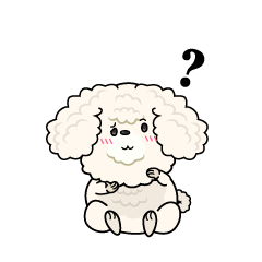 考える小ちゃな白いトイプードル