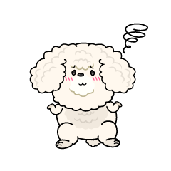 困る小ちゃな白いトイプードル