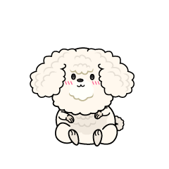 小ちゃな白いトイプードル