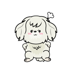 怒る小ちゃな白いマルチーズ