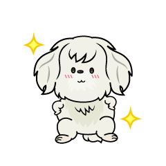 自信満々な小ちゃな白いマルチーズ