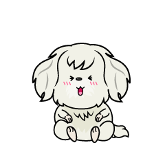 笑う小ちゃな白いマルチーズ