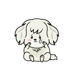 悲しい小ちゃな白いマルチーズ