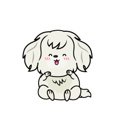 笑顔の小ちゃな白いマルチーズ