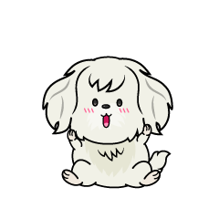 驚く小ちゃな白いマルチーズ