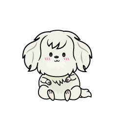 小ちゃな白いマルチーズ