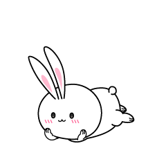 じっと見る白ウサギ