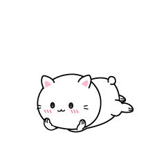 じっと見る白ネコ