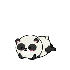 じっと見る小さなパンダ