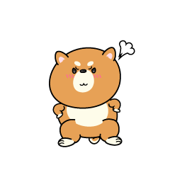 怒る小ちゃな柴犬