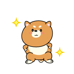 自信満々な小ちゃな柴犬