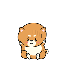 絶望する小ちゃな柴犬