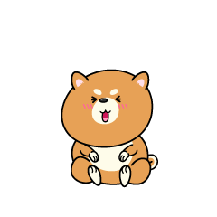 笑う小ちゃな柴犬