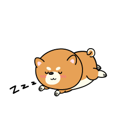 眠る小ちゃな柴犬