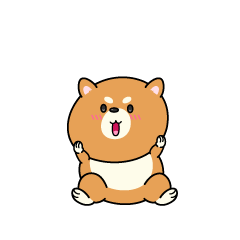 驚く小ちゃな柴犬