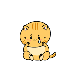 悲しい小ちゃな茶トラ猫