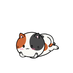 じっと見る小ちゃな三毛猫