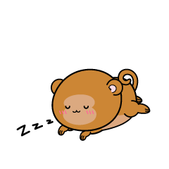 眠る小ちゃなサル